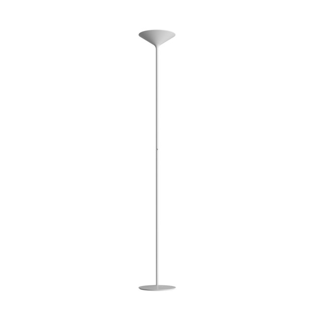 Rotaliana Dry F1 piantana led