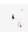 Faro Mini eterfan m led ventilatore nero brillante/trasparente dc smart con luce colore nero lucido