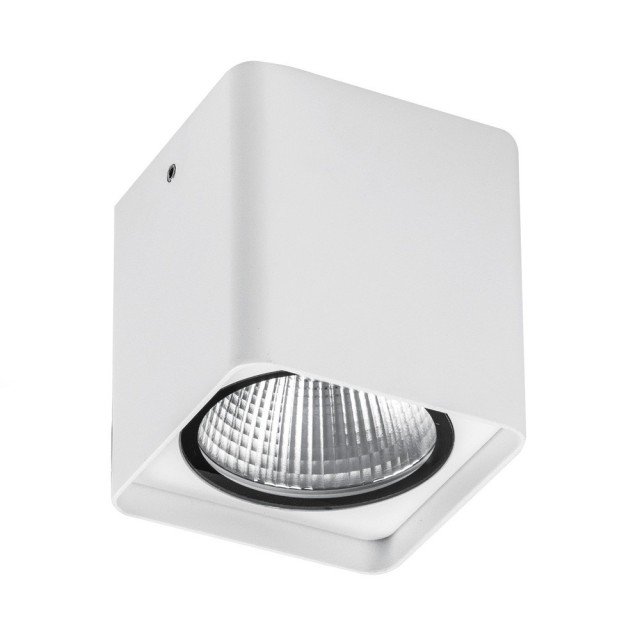 Rossini Kuba KUB006 Plafonnier d'extérieur GU10 - Blanc