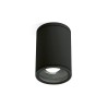 Gea Luce GES1000 grigio antracite plafoniera da esterno