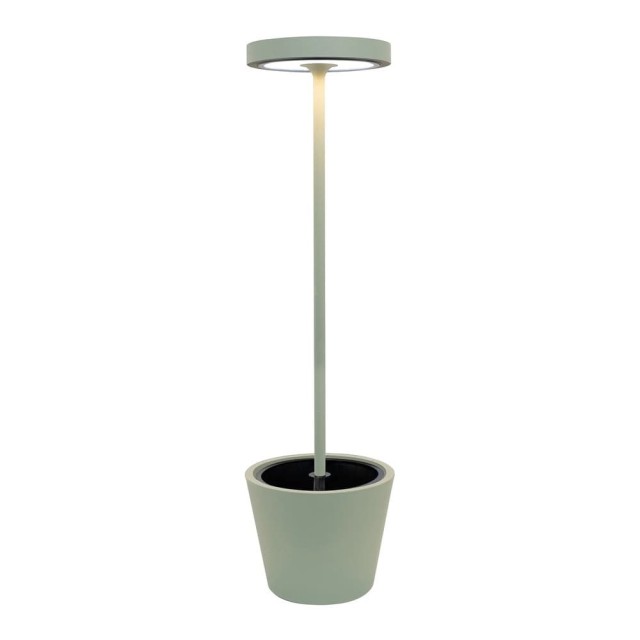 Poldina reverso Solar Salvia lampada solare