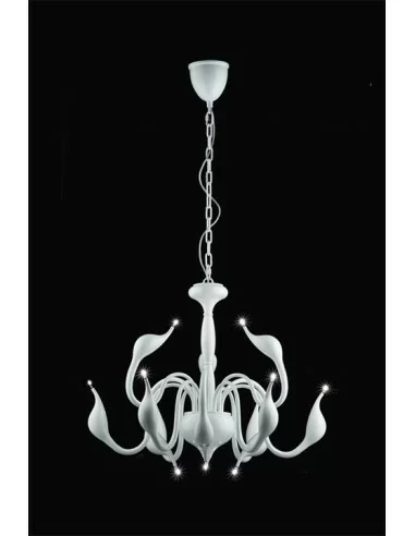 Illuminati Meta Swan 12 luci