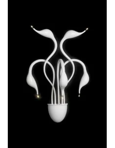 Illuminati Meta Swan da parete 5 luci