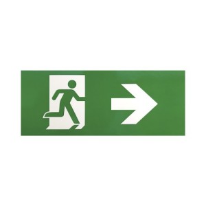 Rossini Exit EXI500 pittogramma