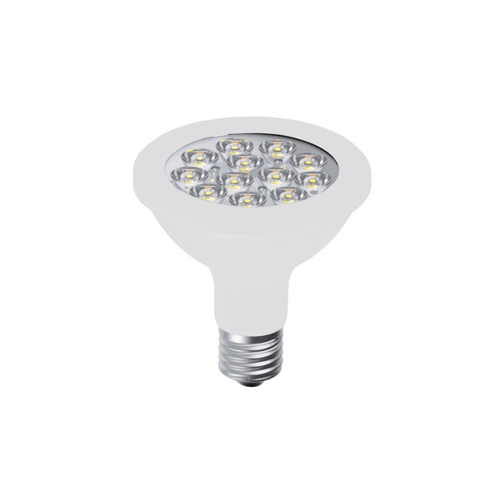 Rossini lampadina L.258-11-C